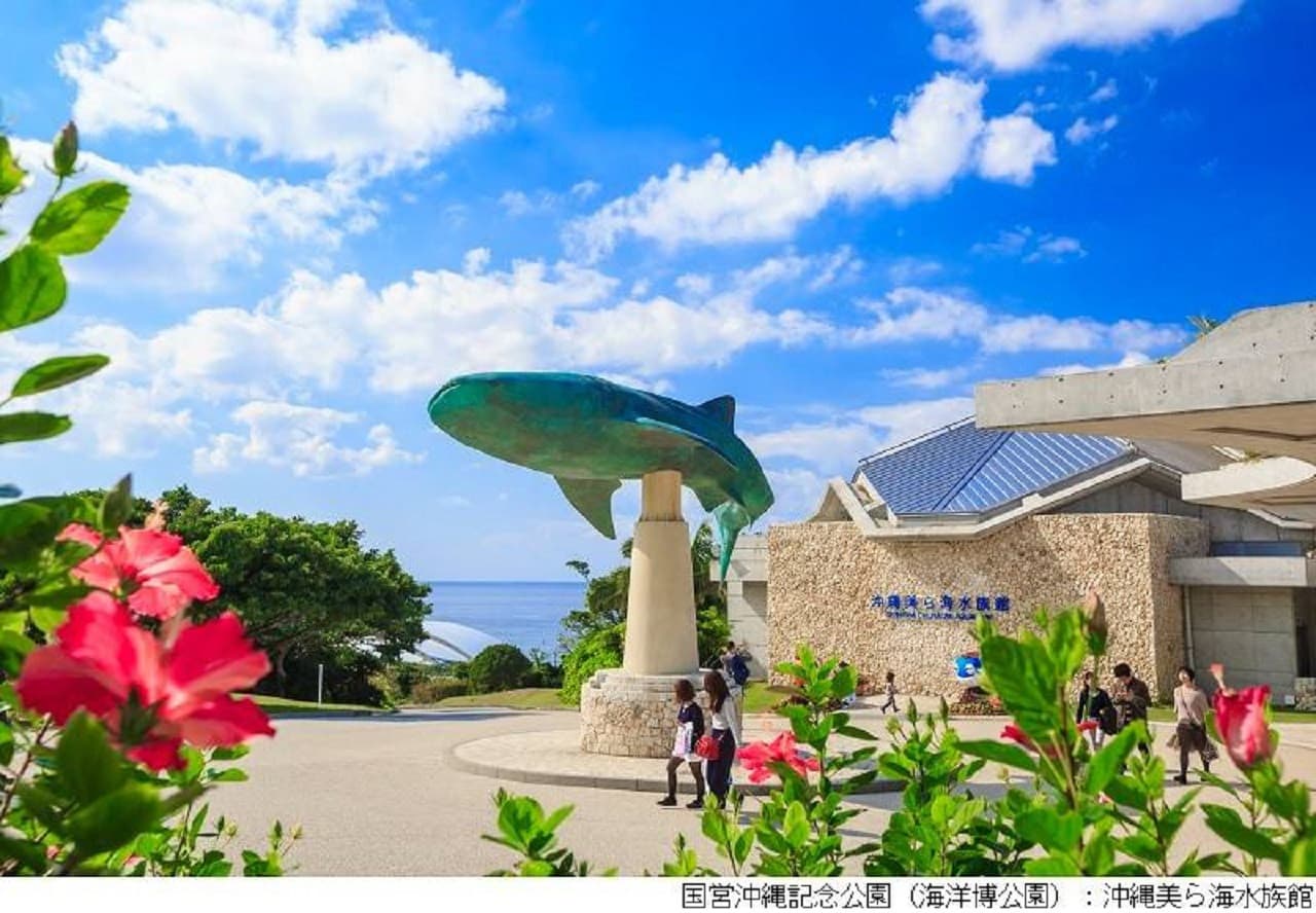 Okinawa Churaumi TokuToku Pass - main image
